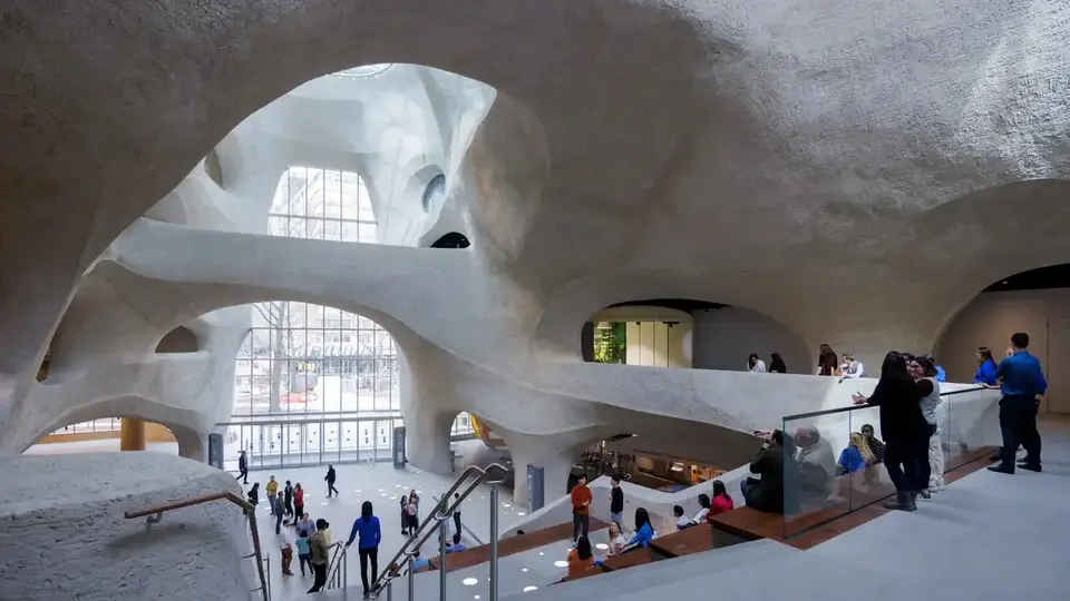 Sweeping, naturalistic shapes in the center of the new science museum.
