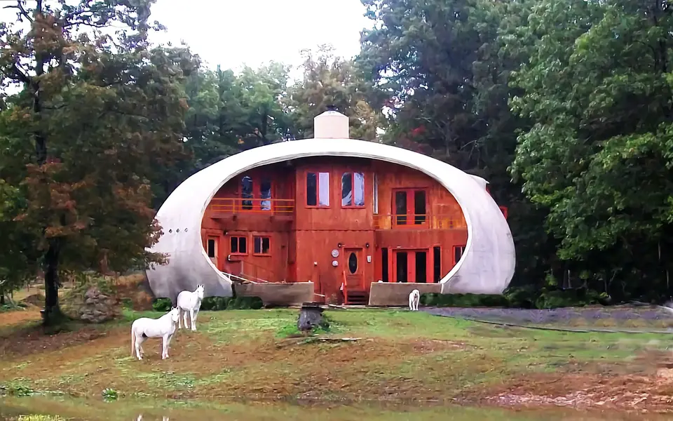 Two horses and Peters' dog enjoy the gorgeous landscape surrounding Cloudome.